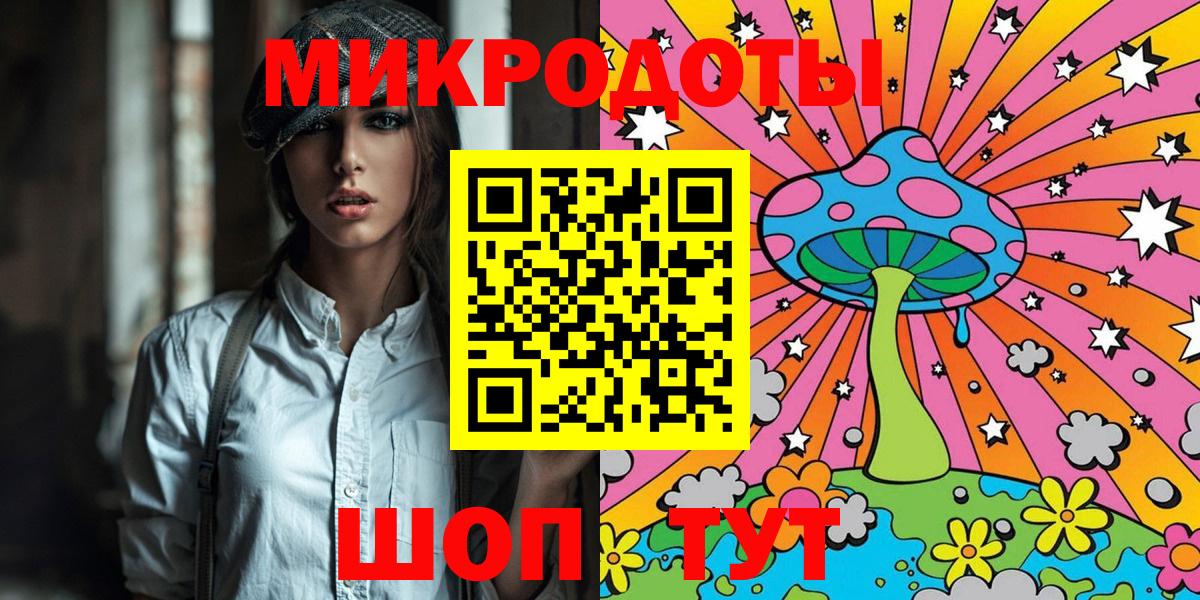 Псилоцибиновые грибы Psilocybine cubensis Карпинск